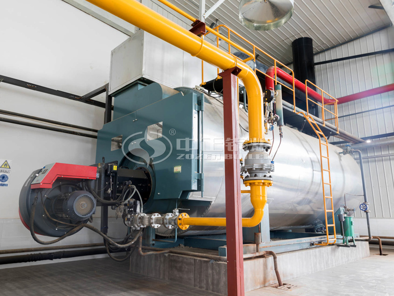 10��WNSϵ������ʽȼ������偠t�Ŀ���L���A����