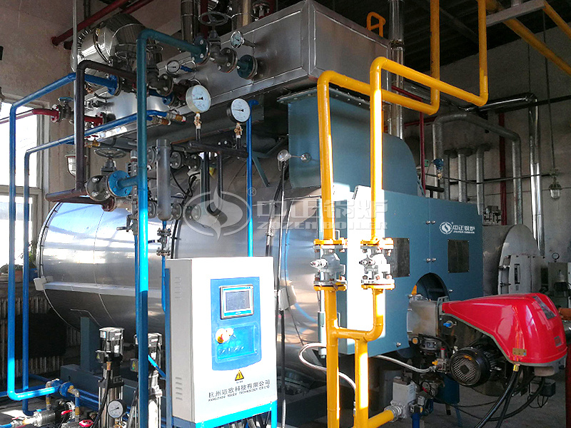 ���Ȳ���WNSϵ������ʽȼ������偠t�Ŀ