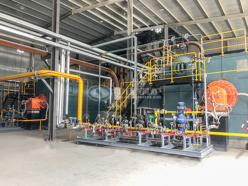 �¿ƊW�¿Ƽ�15��SZSϵ������ʽȼ������偠t�Ŀ����(sh��)