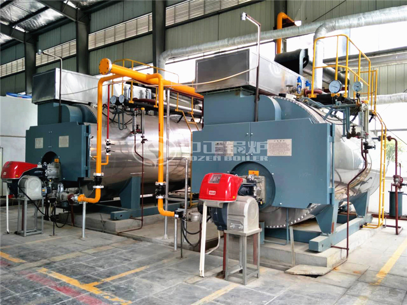 ������������Դ�Ƽ�6��WNSϵ�ж��س�ȼ������偠t�Ŀ