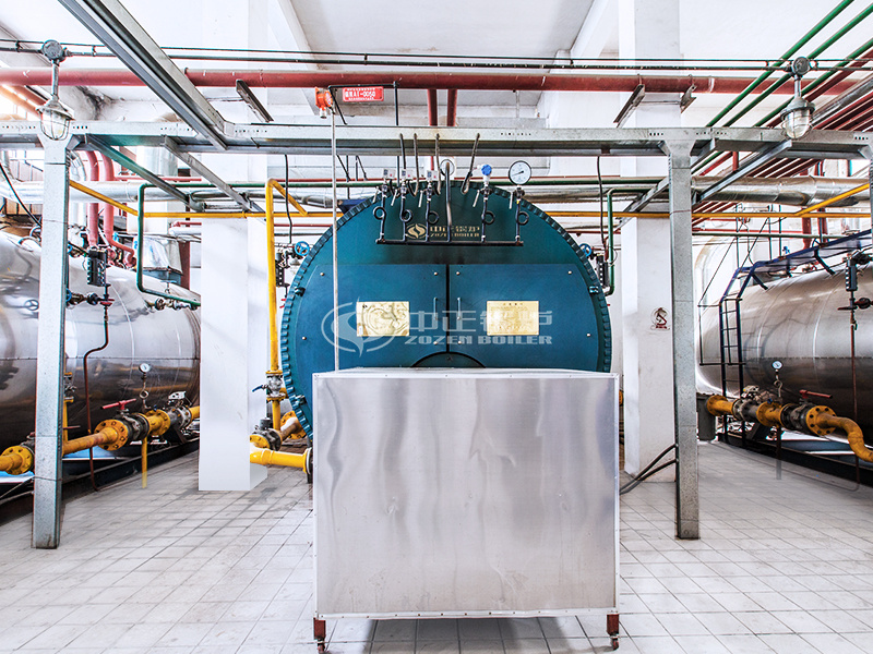 4t/h wnsȼ��ȼ������偠t